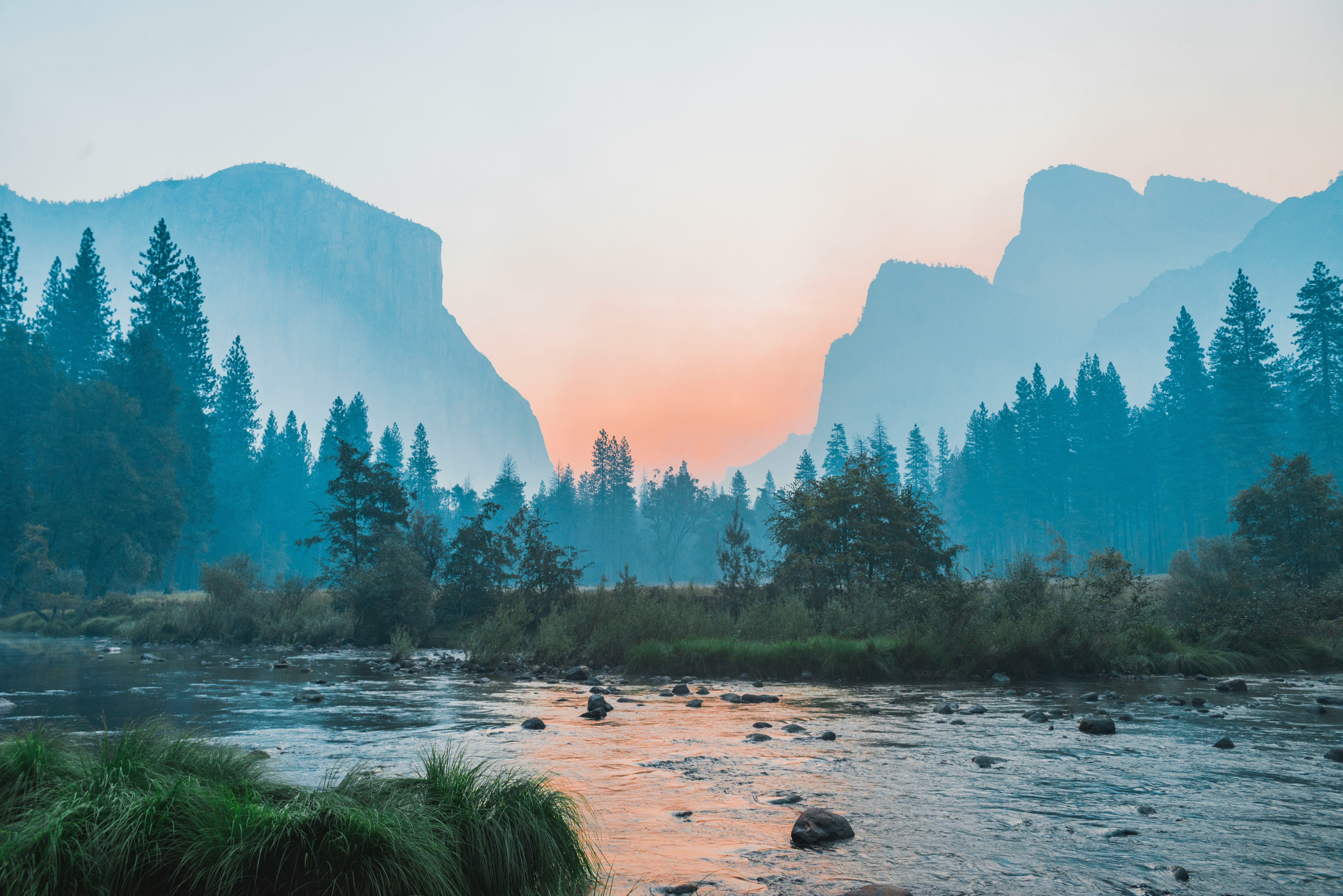 body of water surrounded by trees